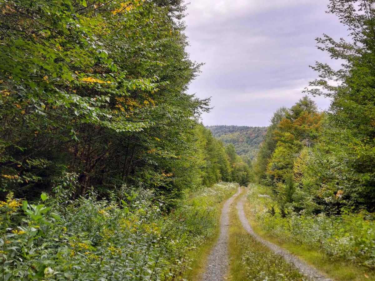 Roby Brook Road trail photo