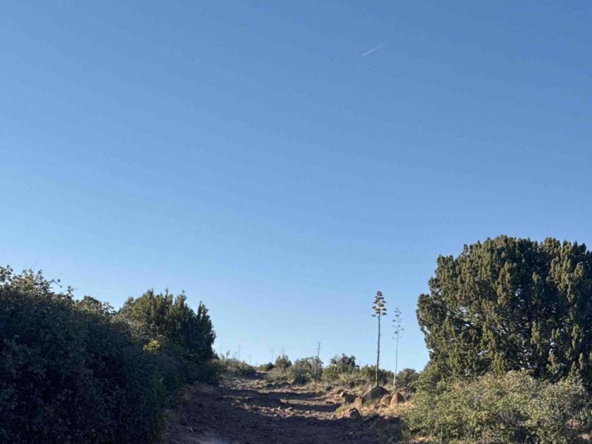 Tule Mesa - 68G photo 6