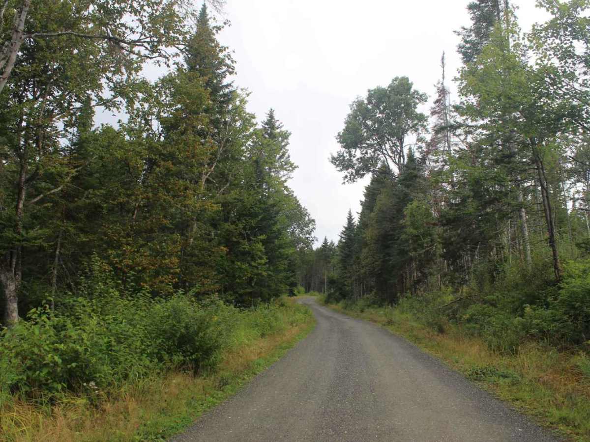 Perry Stream Road photo 4
