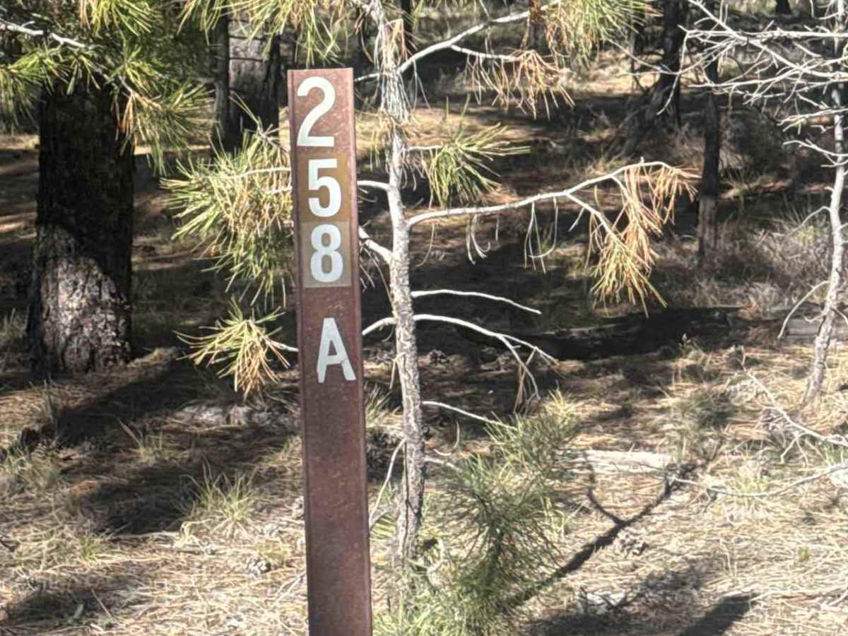 FS 258A trail photo