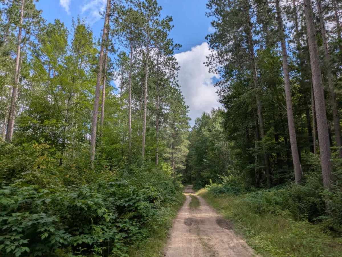 Loon Lake Road photo 2