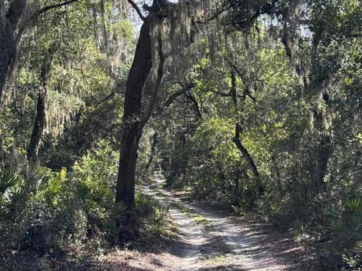 Cemetery Road photo 3