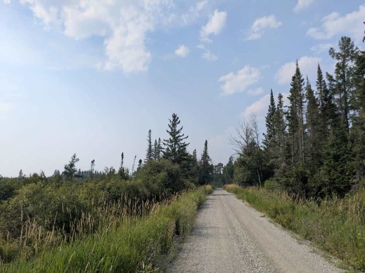 Murray Road trail photo