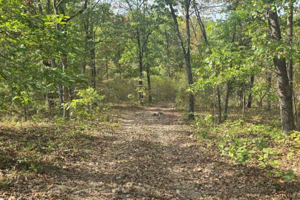 Rocky Ravine