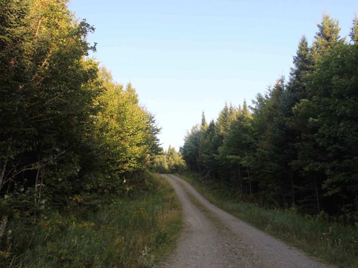 Cozy Brook Road photo 2