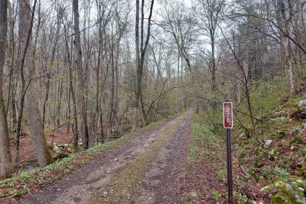 Middle Ridge Road