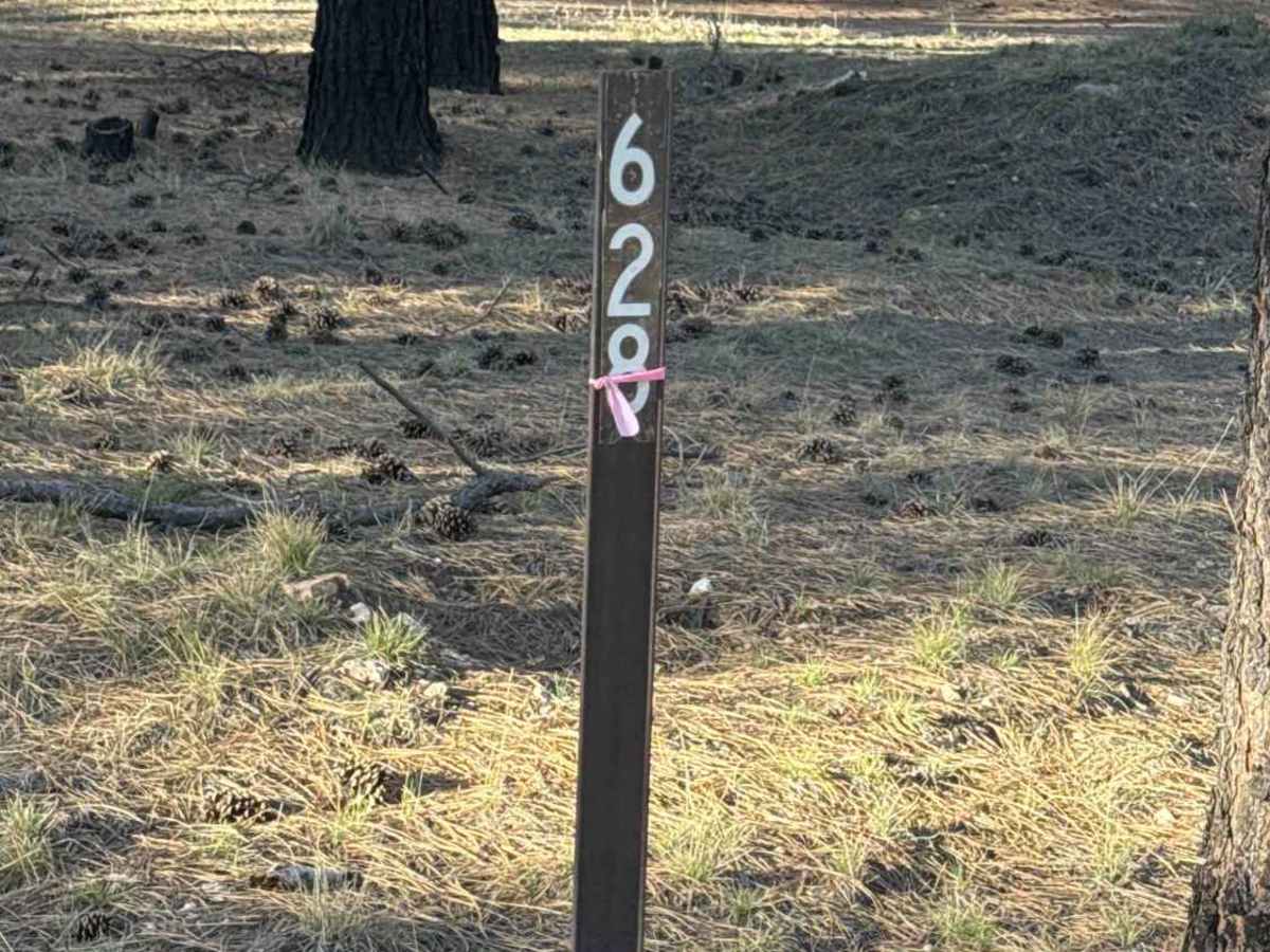 FS 628 trail photo