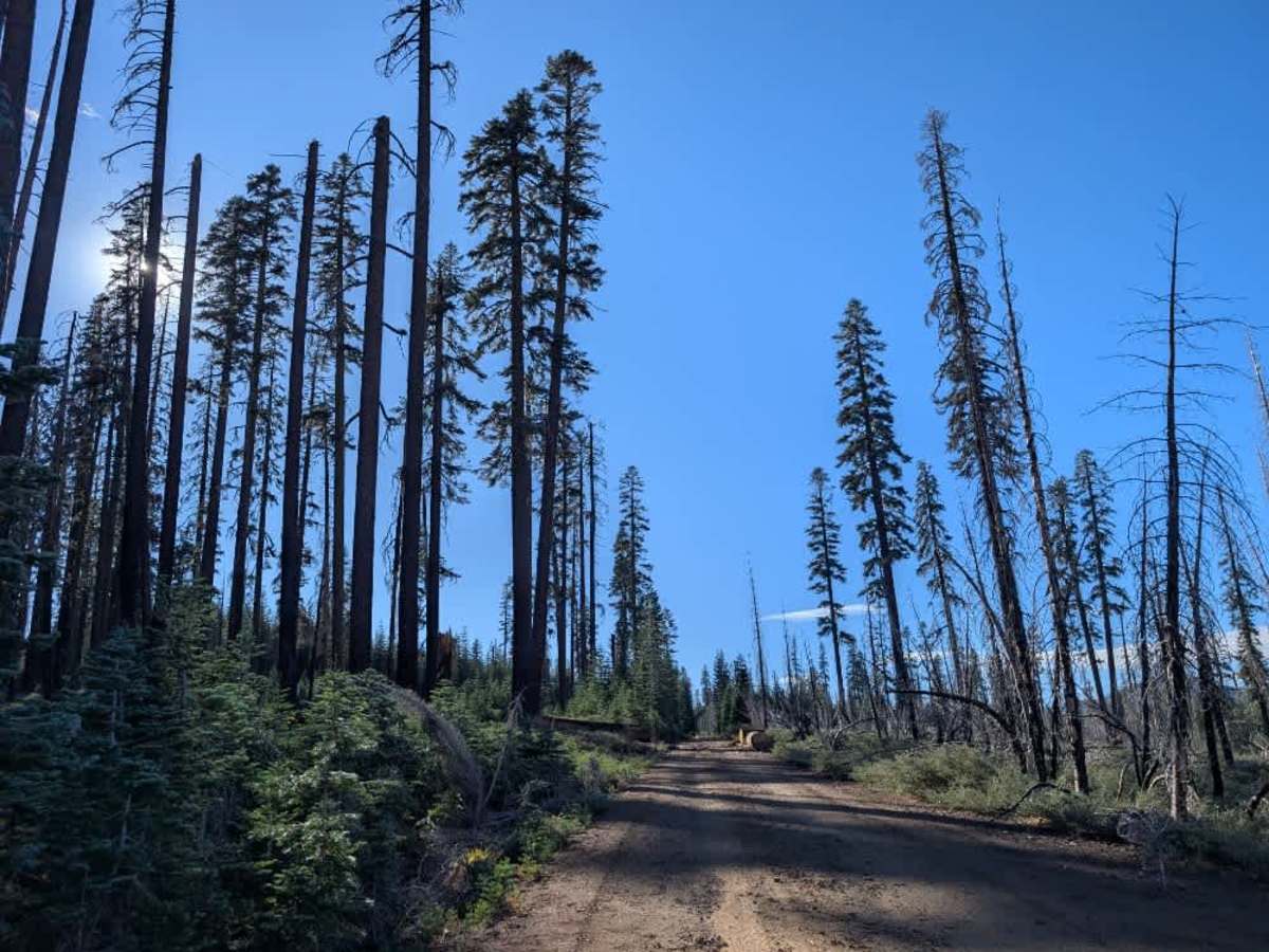 FS 30N12 trail photo