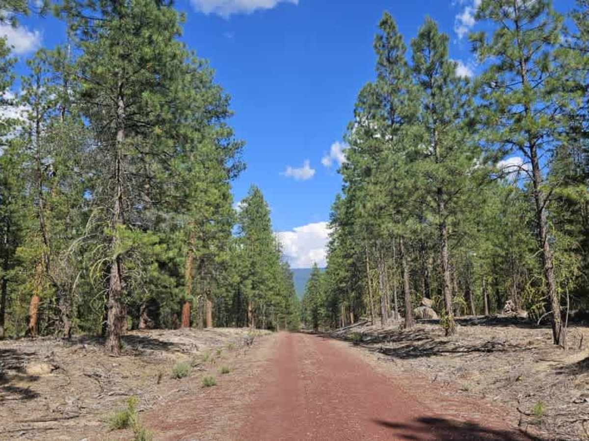 FS 7646440 trail photo
