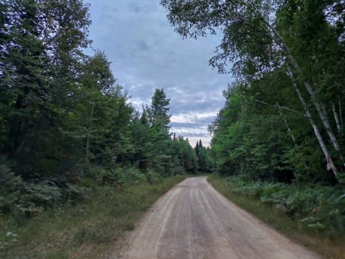 Truck Trail 3 photo 4