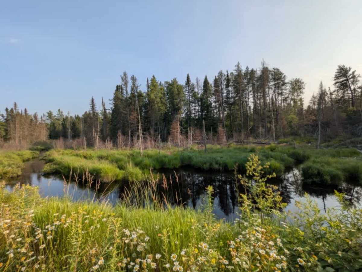 Two Moose Trail photo 6