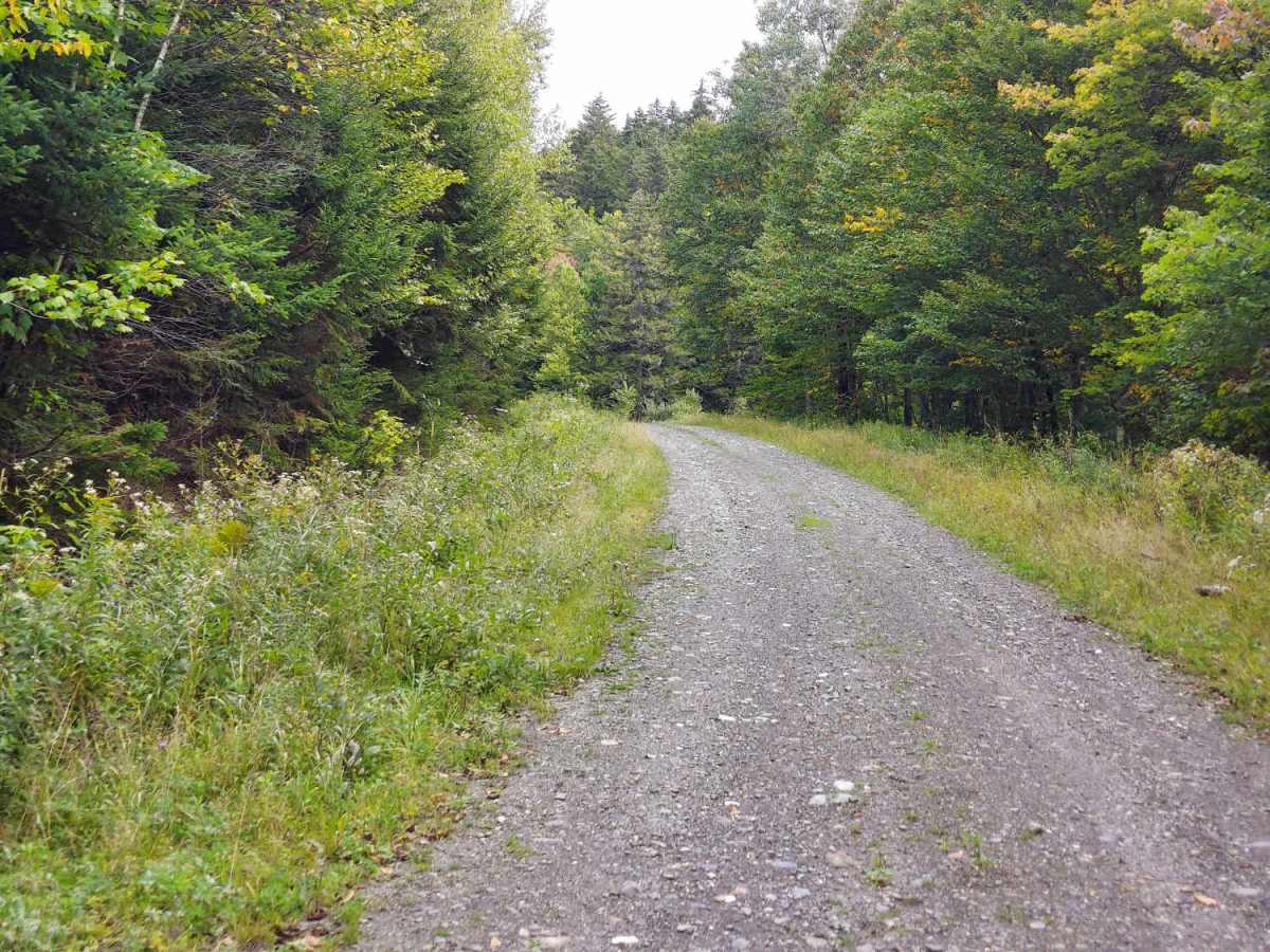 East Branch Road photo 2
