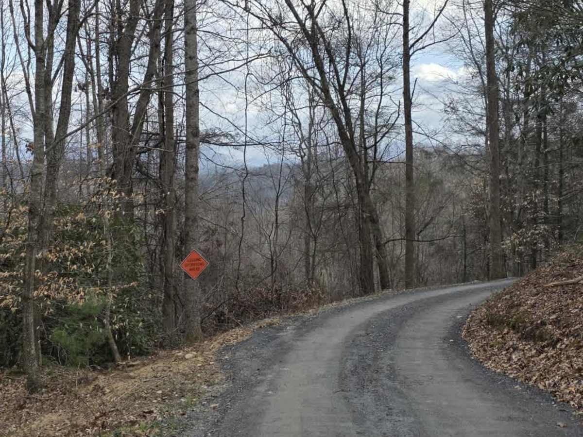 White Oak Flats Spur trail photo