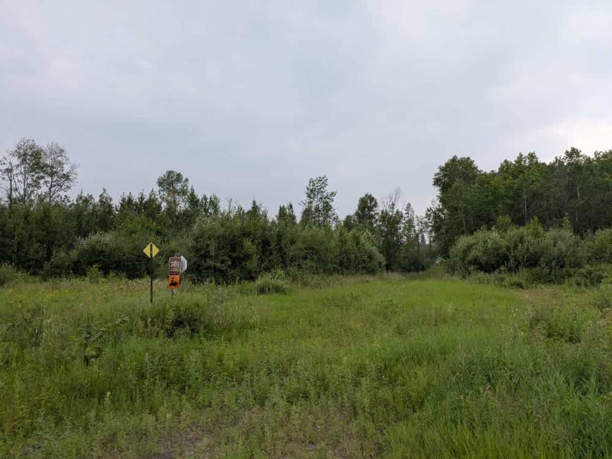 Camp 90 Forest Road photo 6