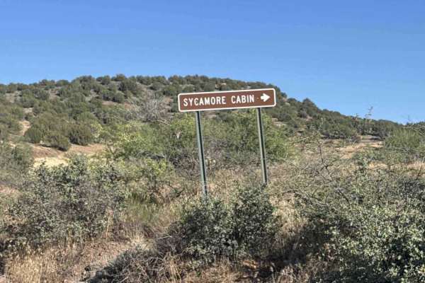 Sycamore Cabin - 68F