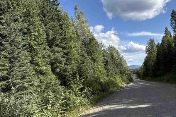 Bowron FSR (Haggle Creek)