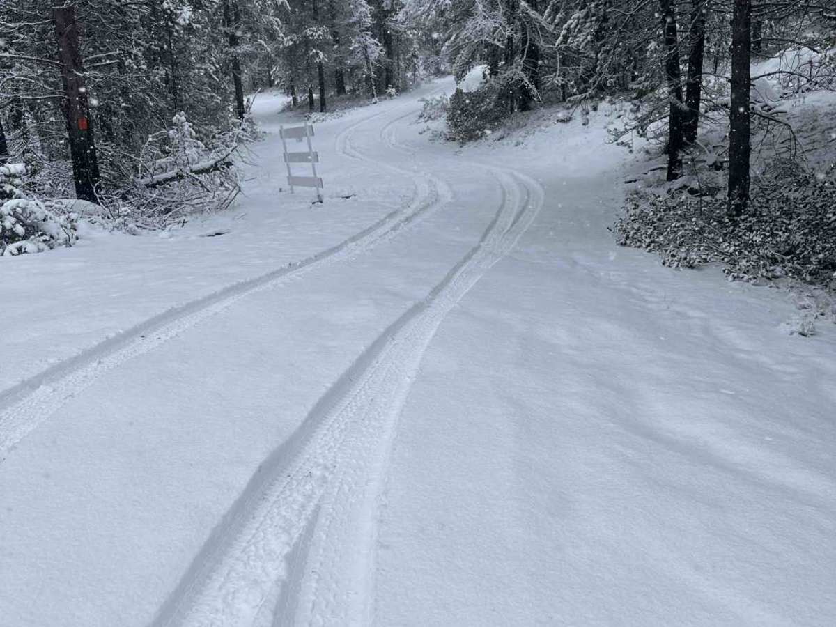 Forest Road 4130-000 photo 6