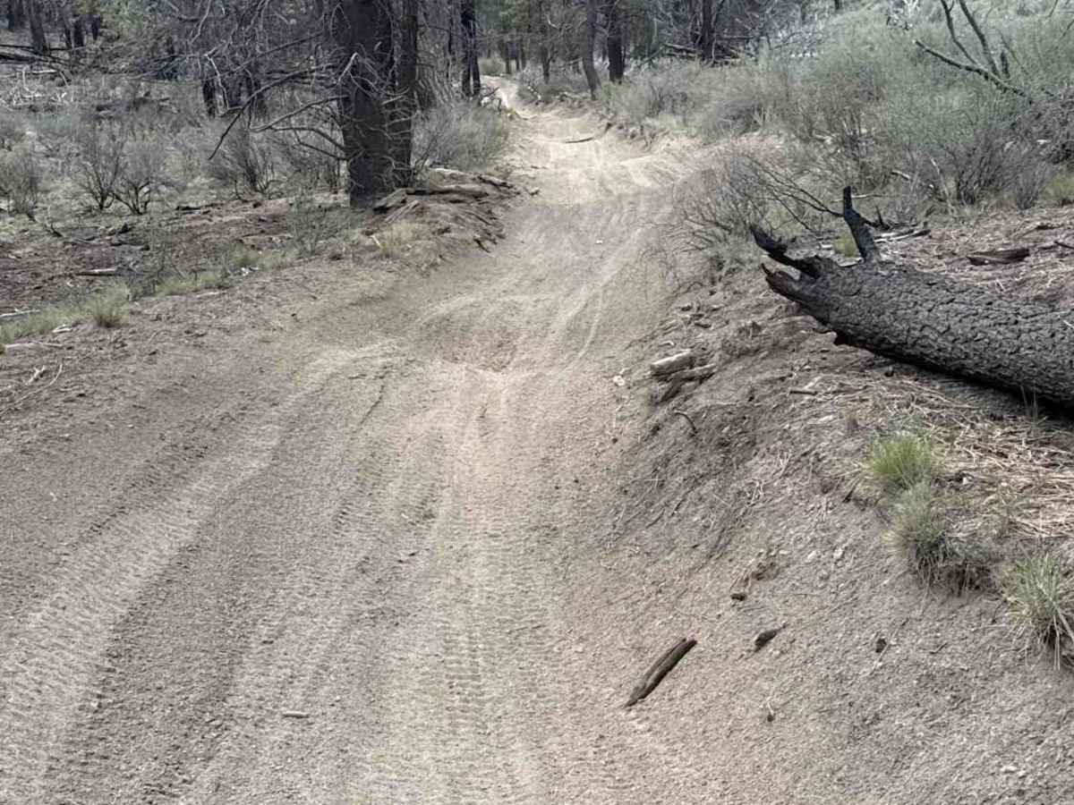 East Fort Rock - OHV Trail 40 photo 5