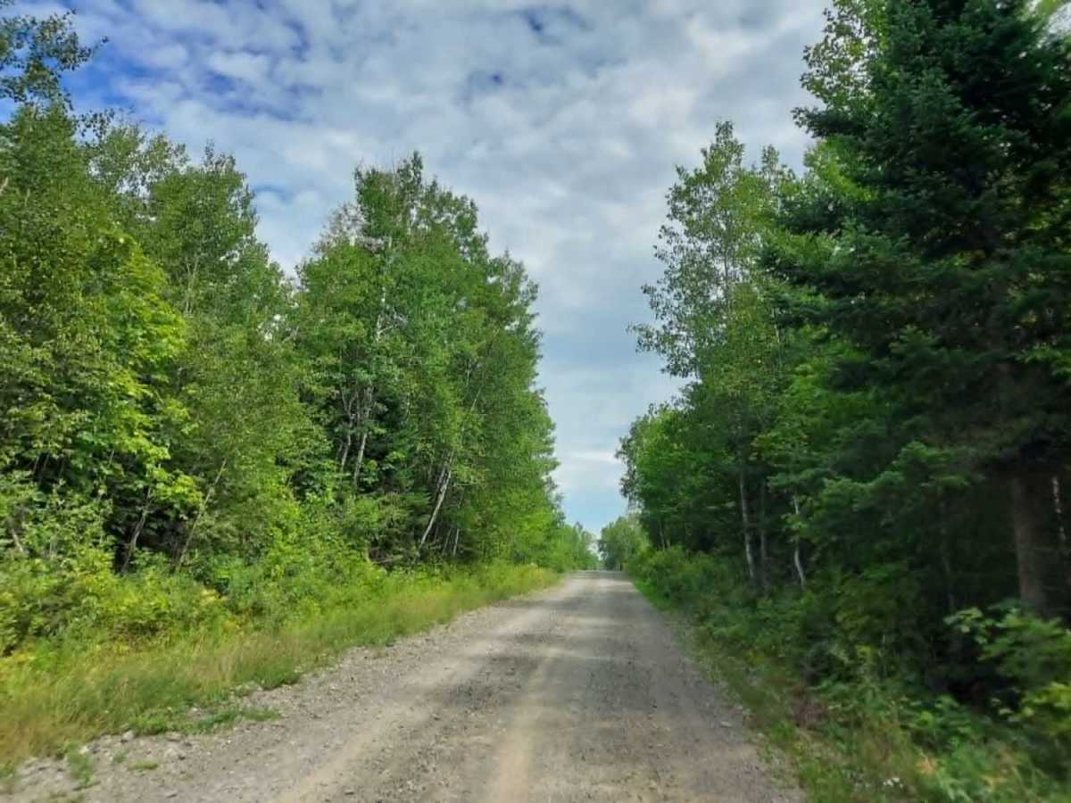 Harvey Siding Road trail photo