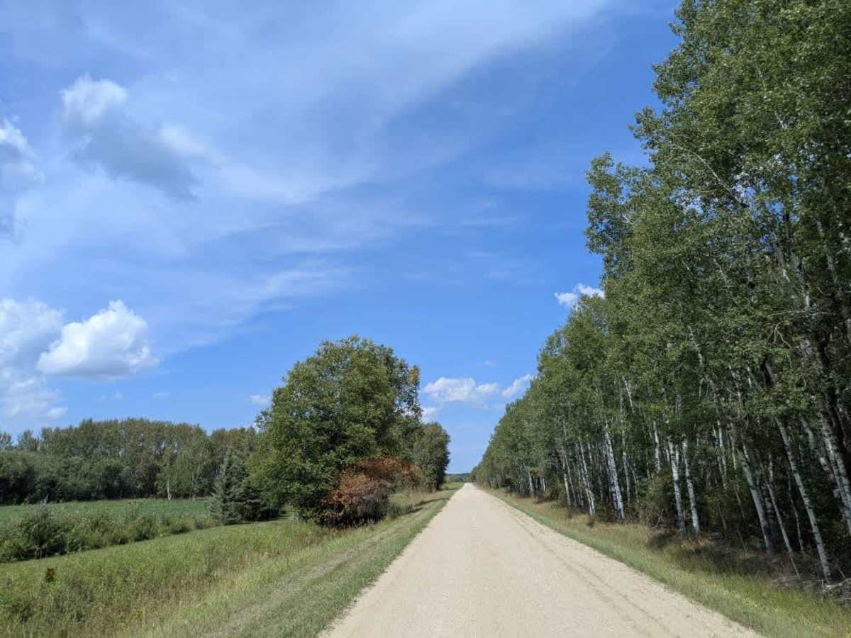 County Road 158 photo 4