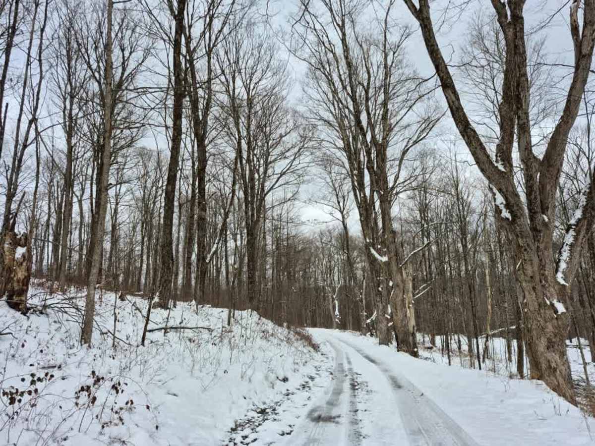 Beaver Meadow PFAR photo 5
