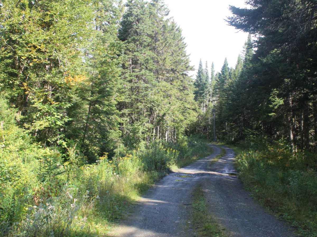 Falkenham Trail photo 2