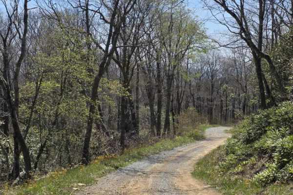 Panhandle Road Crest