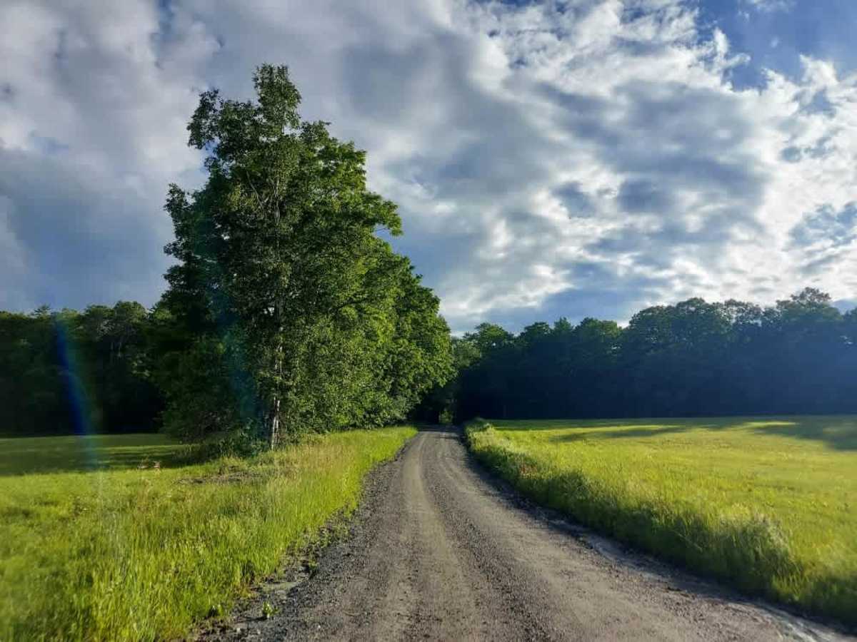 Bartlett Brook Road trail photo