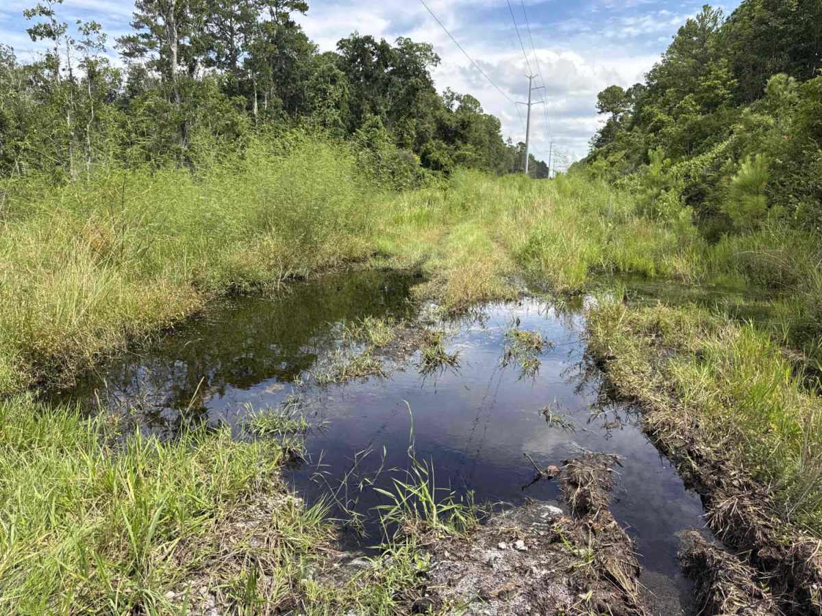Tinsley Powerline Road photo 4