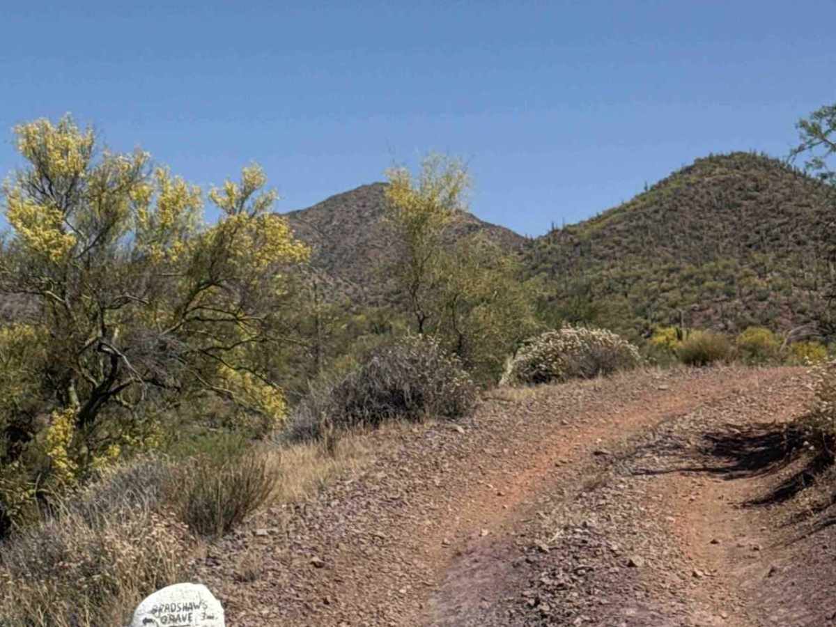 Castle Creek Road Copperopolis  trail photo