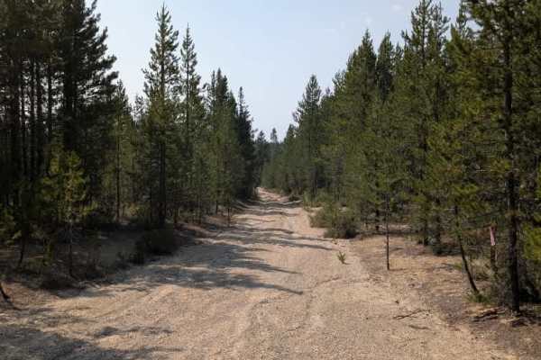 Hurricane Ridge Road - FS 9400810