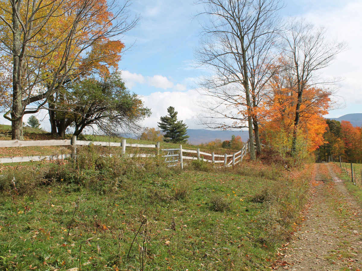 Big Hollow Road photo 2