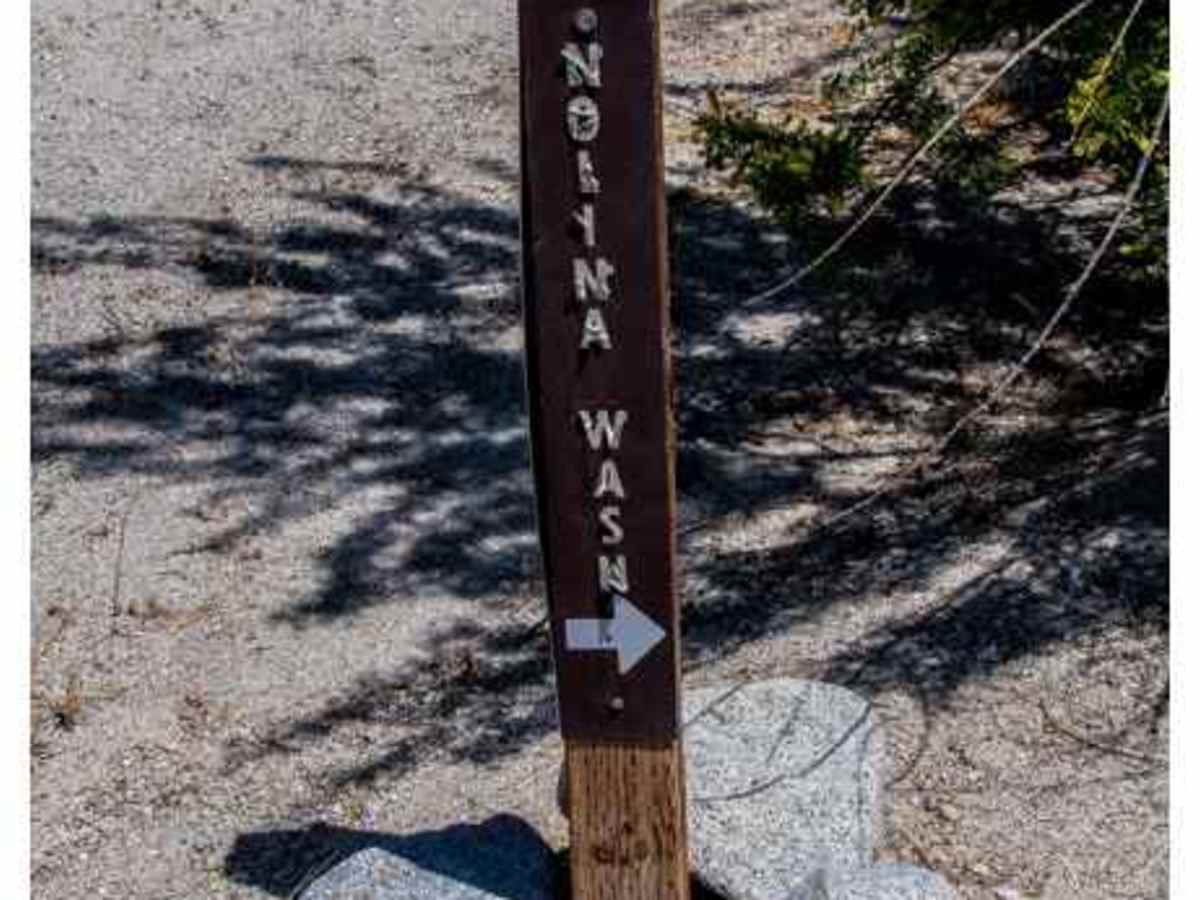 Nolina Wash Road photo 2