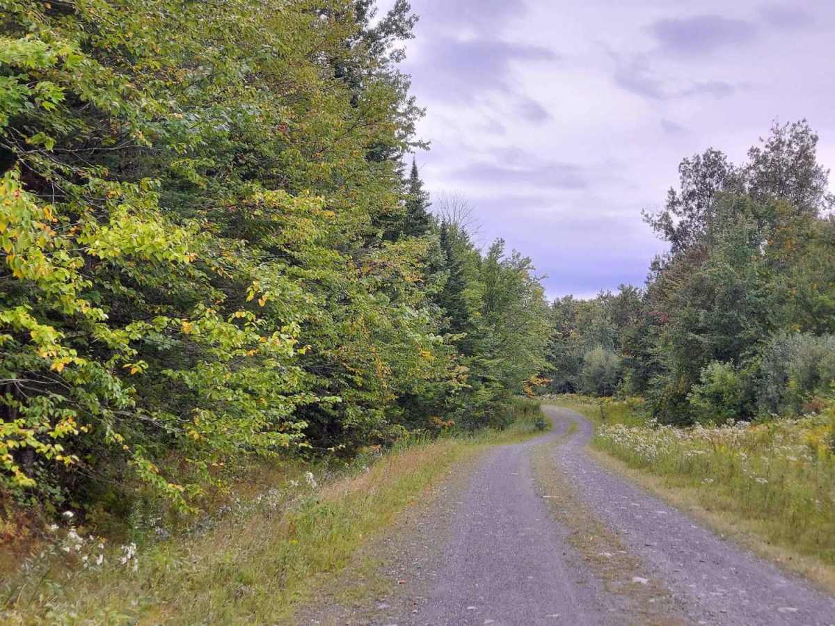 Hall Stream Road photo 4