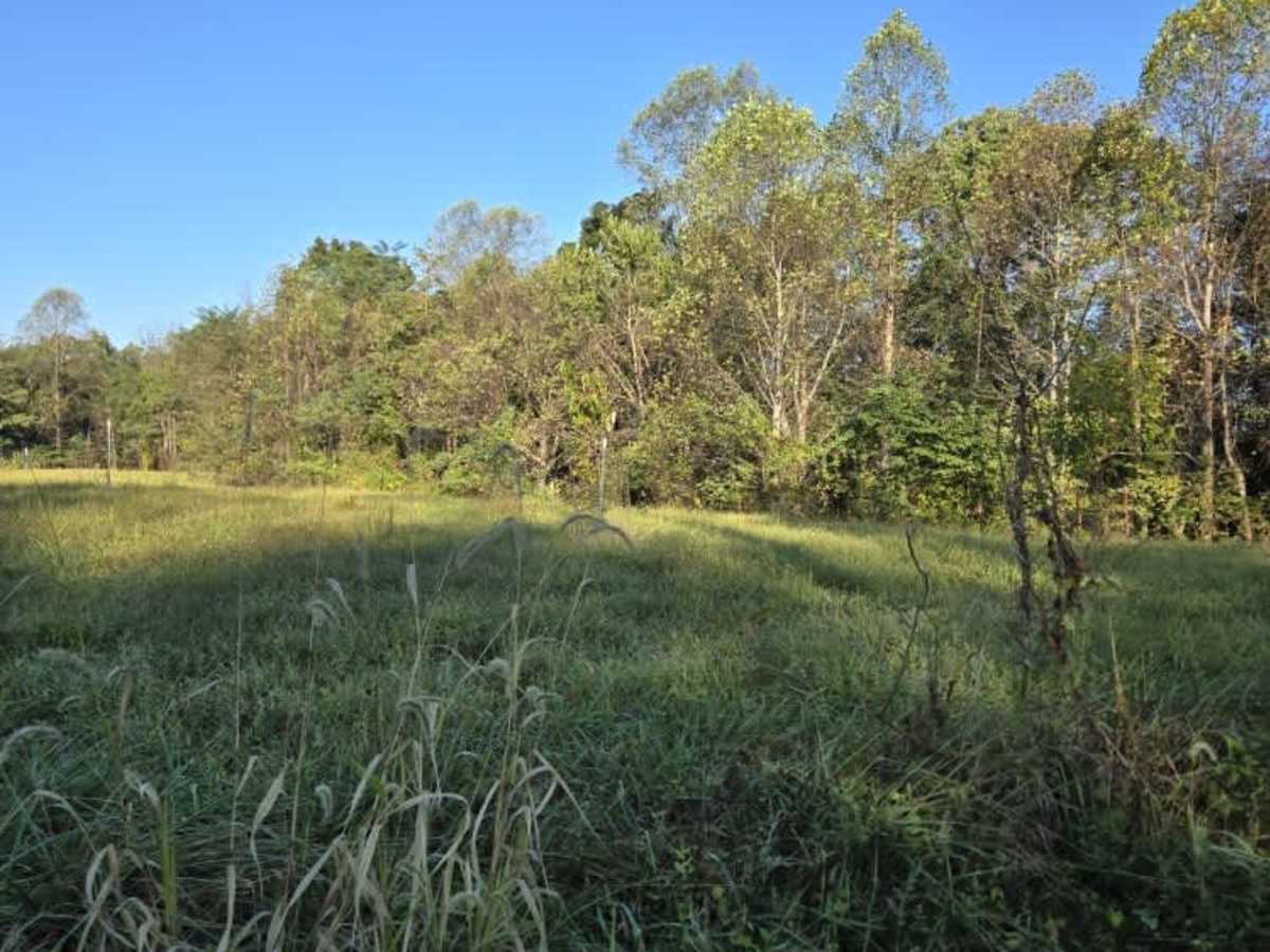 Real Ridge Road photo 5
