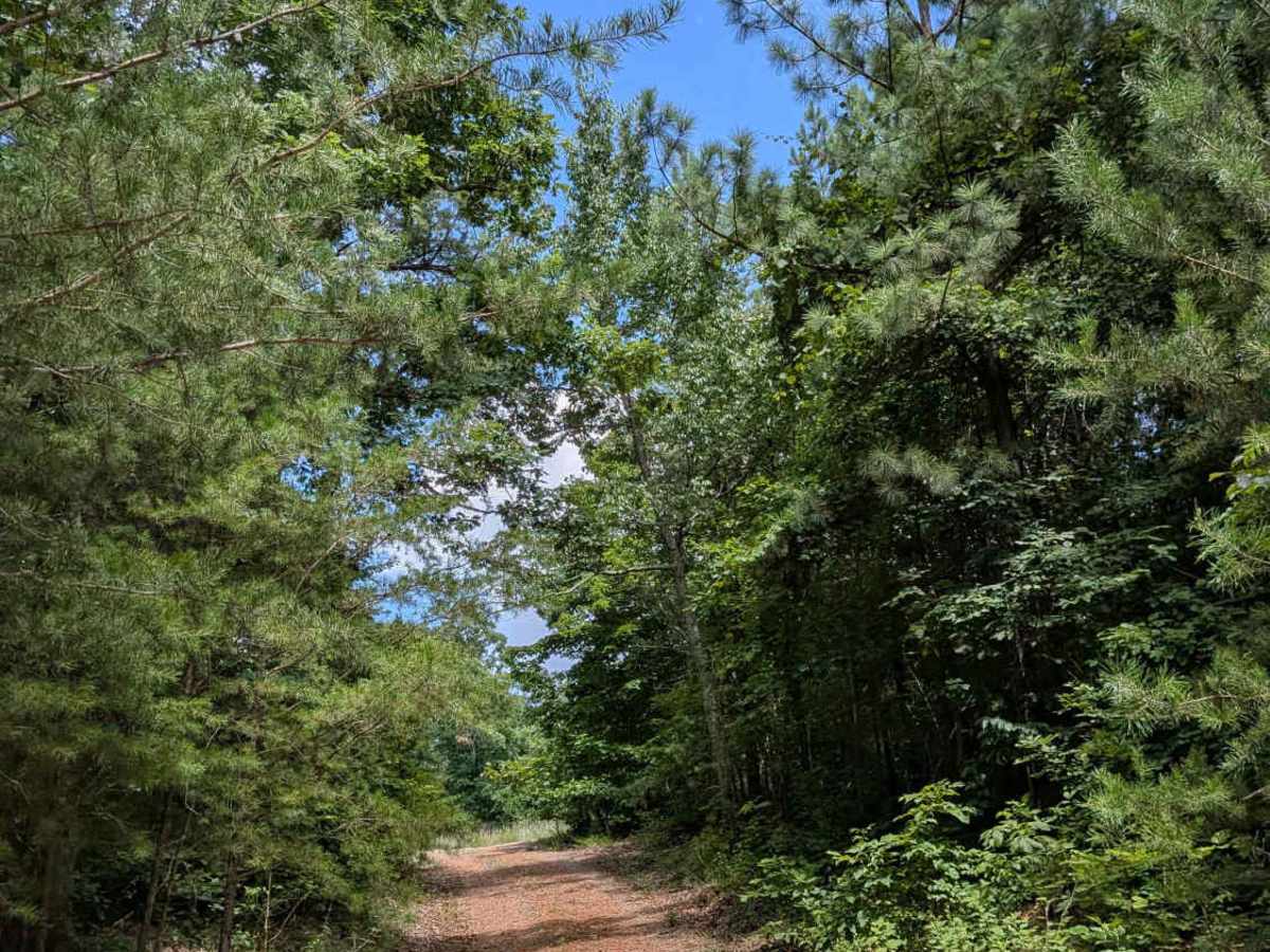 Brown Hollow Road photo 6