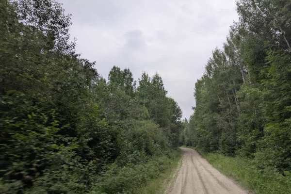 Fawn Creek Road