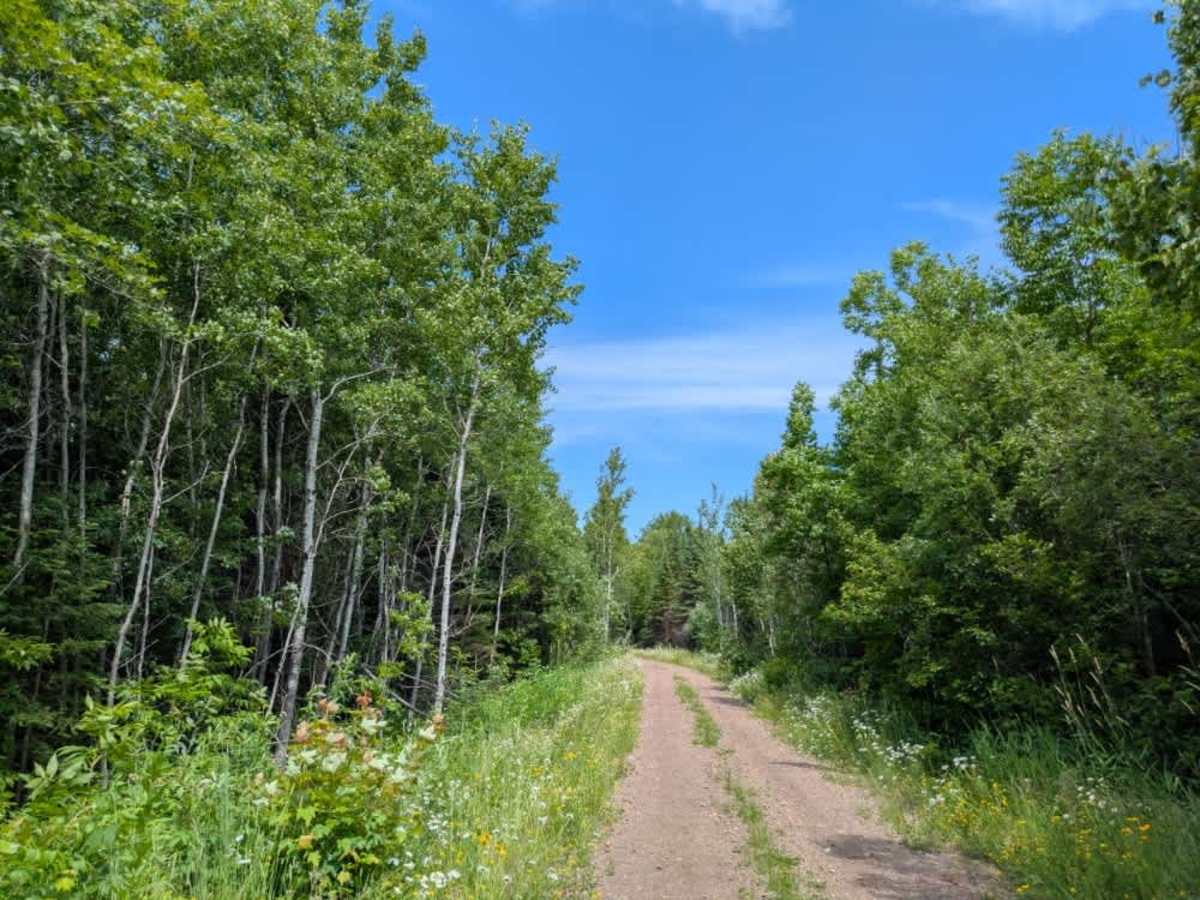 Kane Lake Spur J photo 3