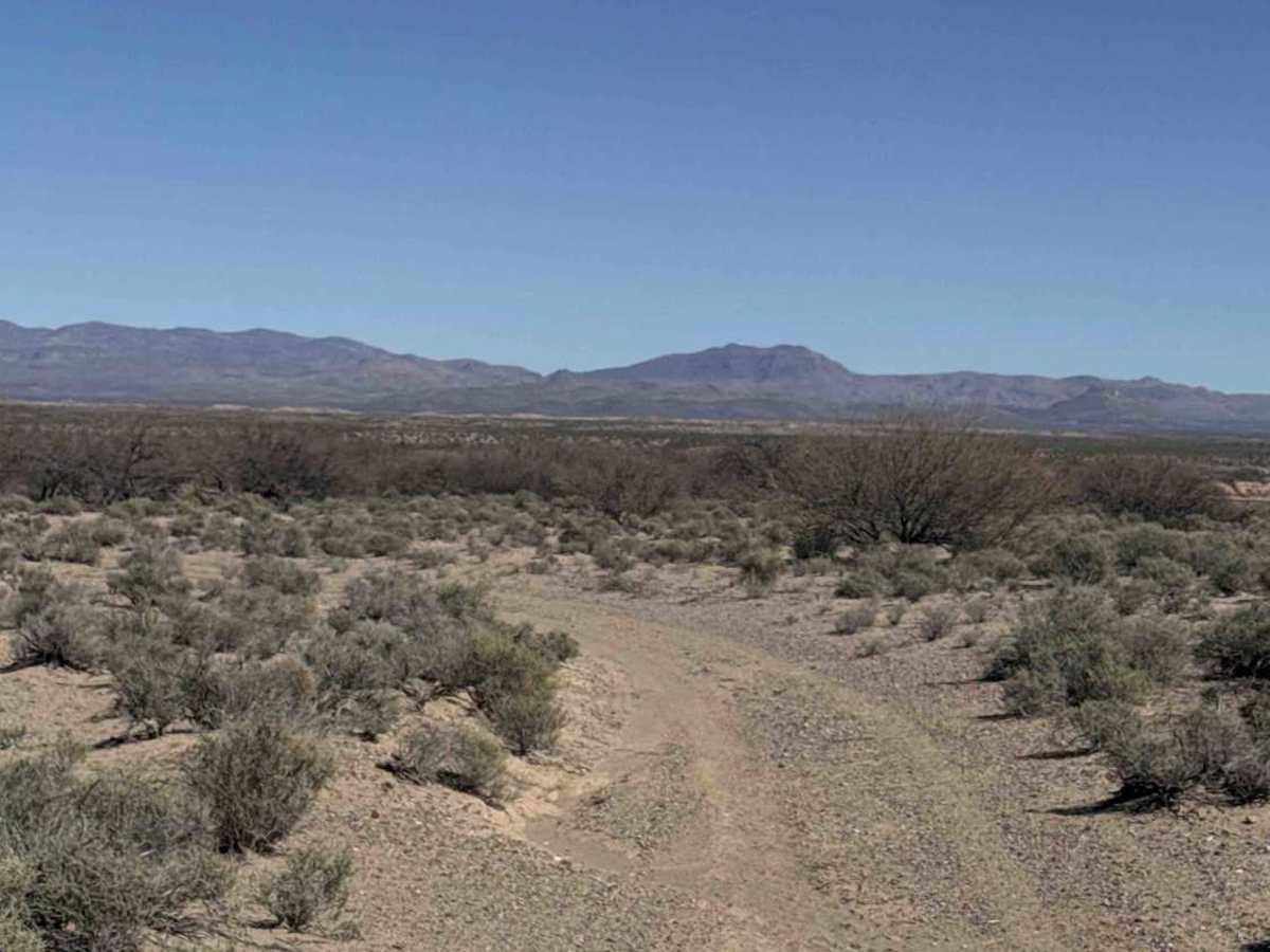 Ss1004 photo 2