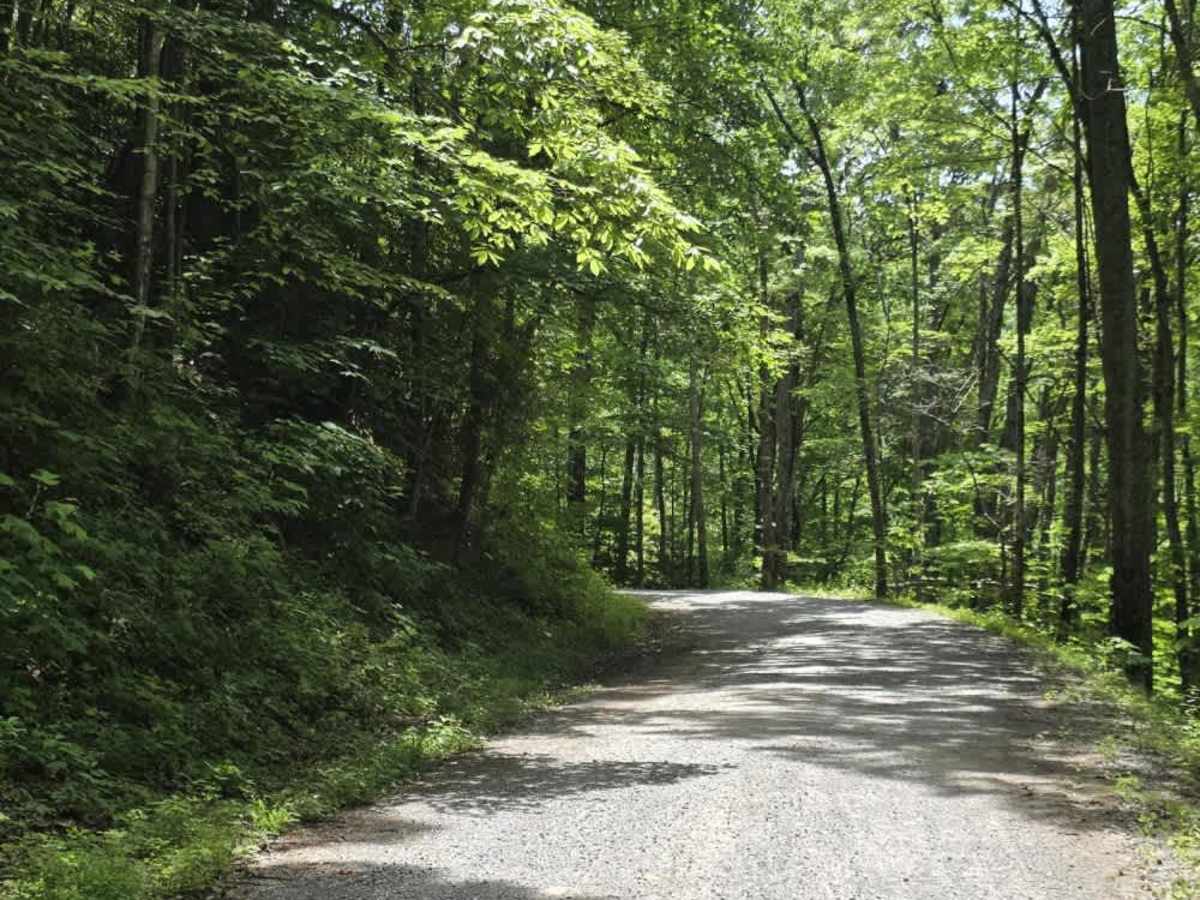 Round Mountain Road trail photo