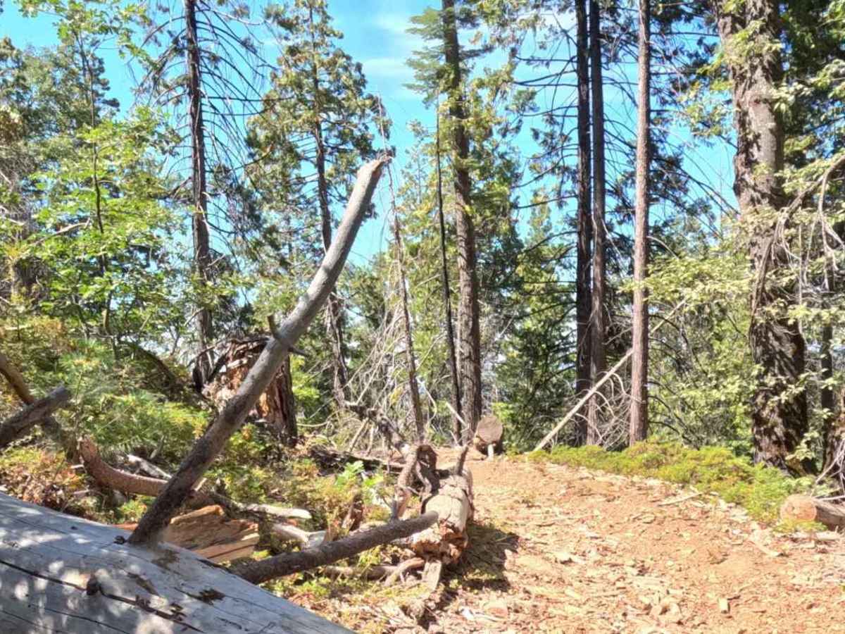 Grant Grade Tollroad II - FS 5S020X photo 3