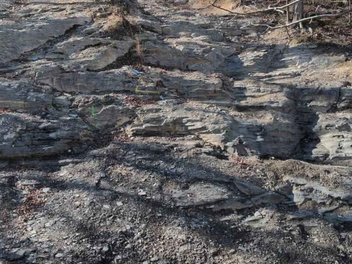 F9 Bonus Hill trail photo