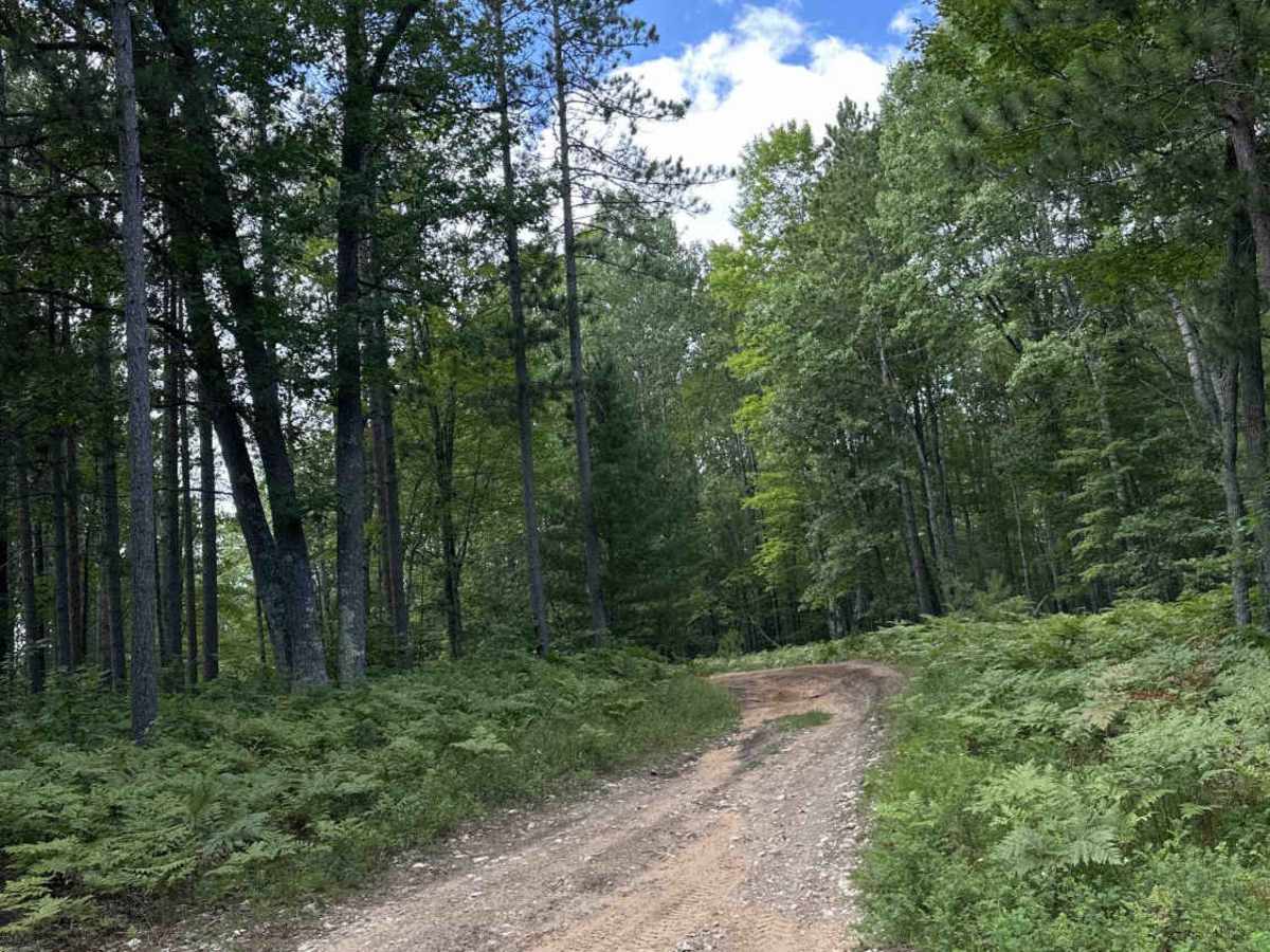 FS 2880 trail photo