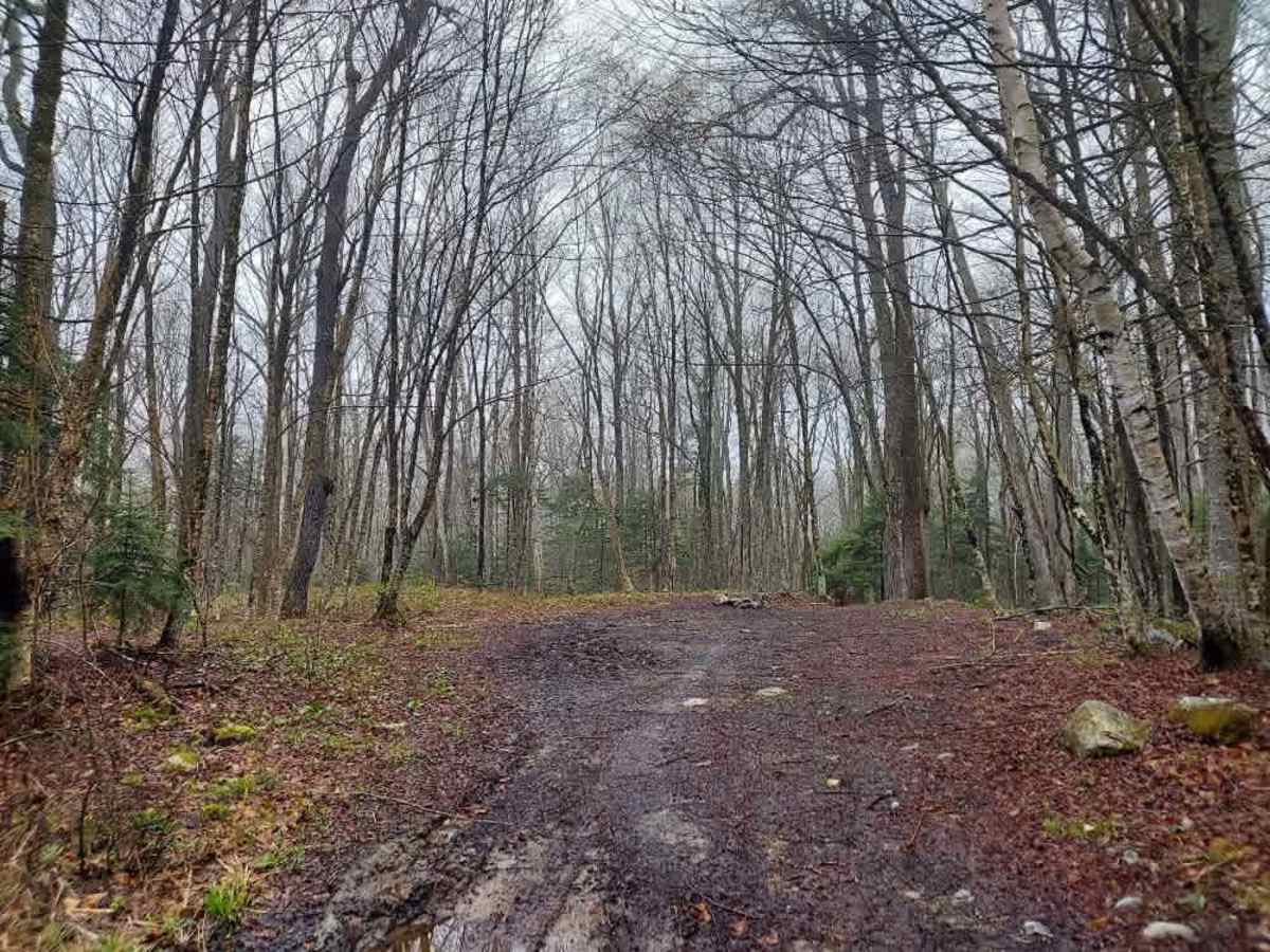 Prospect Mountain Trail photo 5