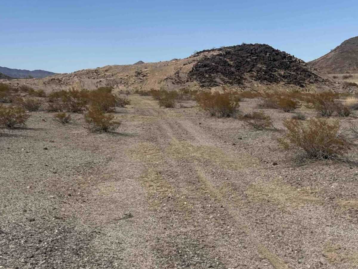 Comfort Zone Trail photo 3