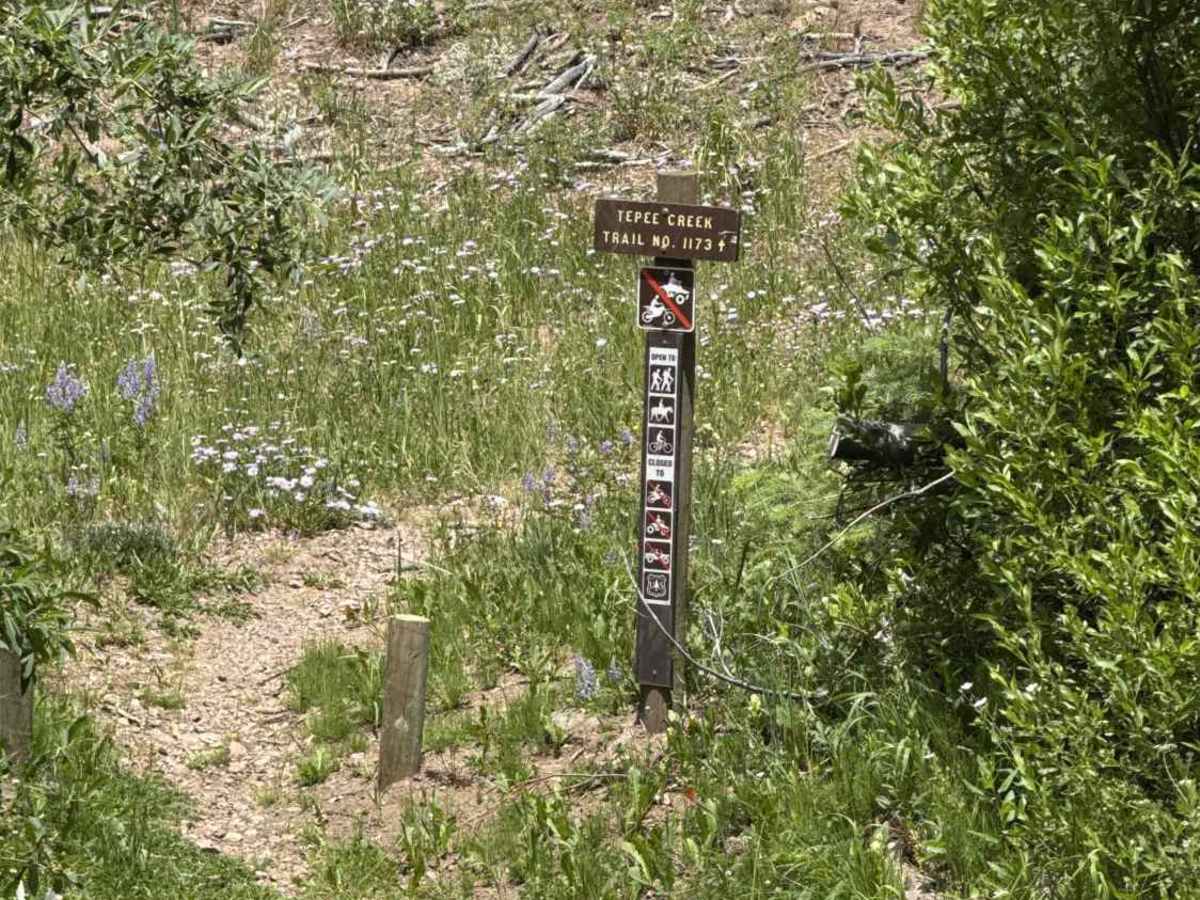 High Rock Creek Road - FS 263 photo 5