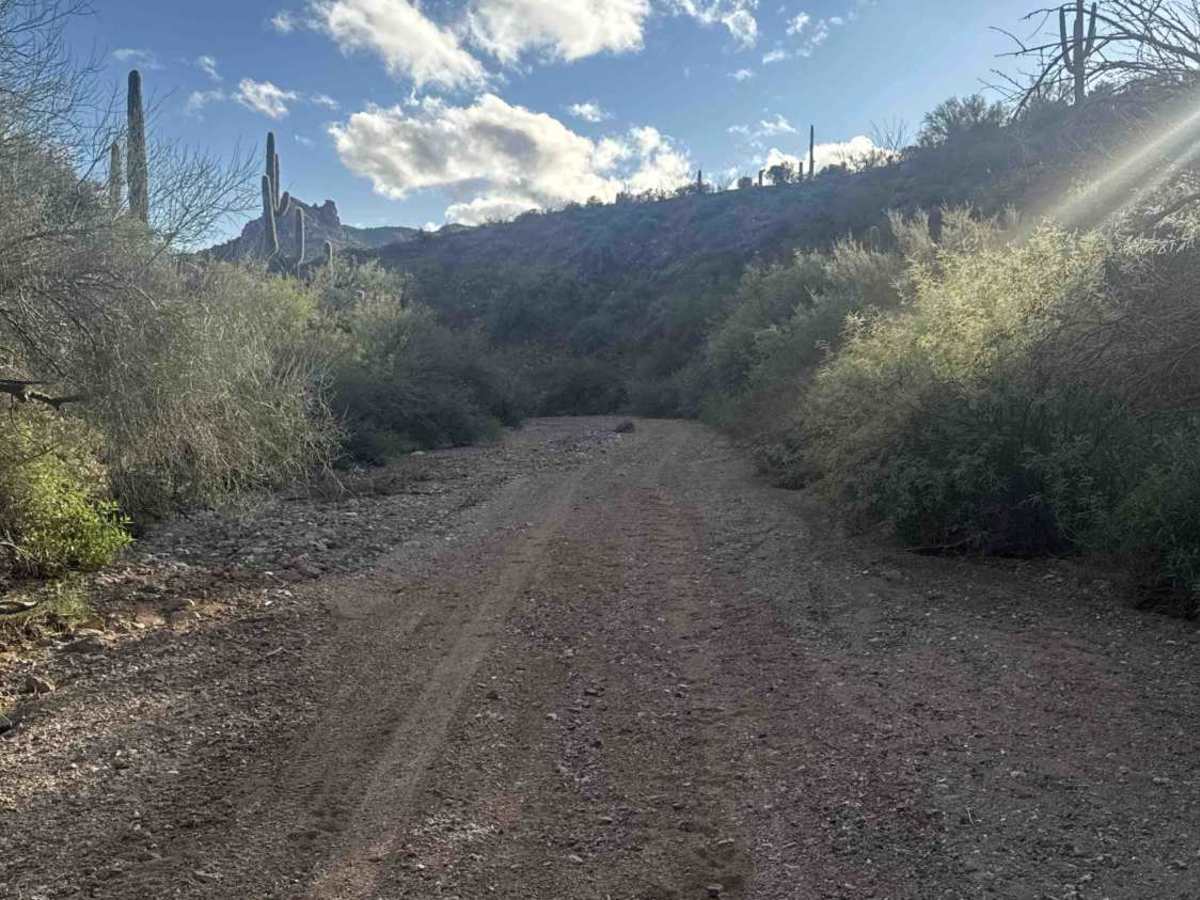 Picacho Wash  photo 4