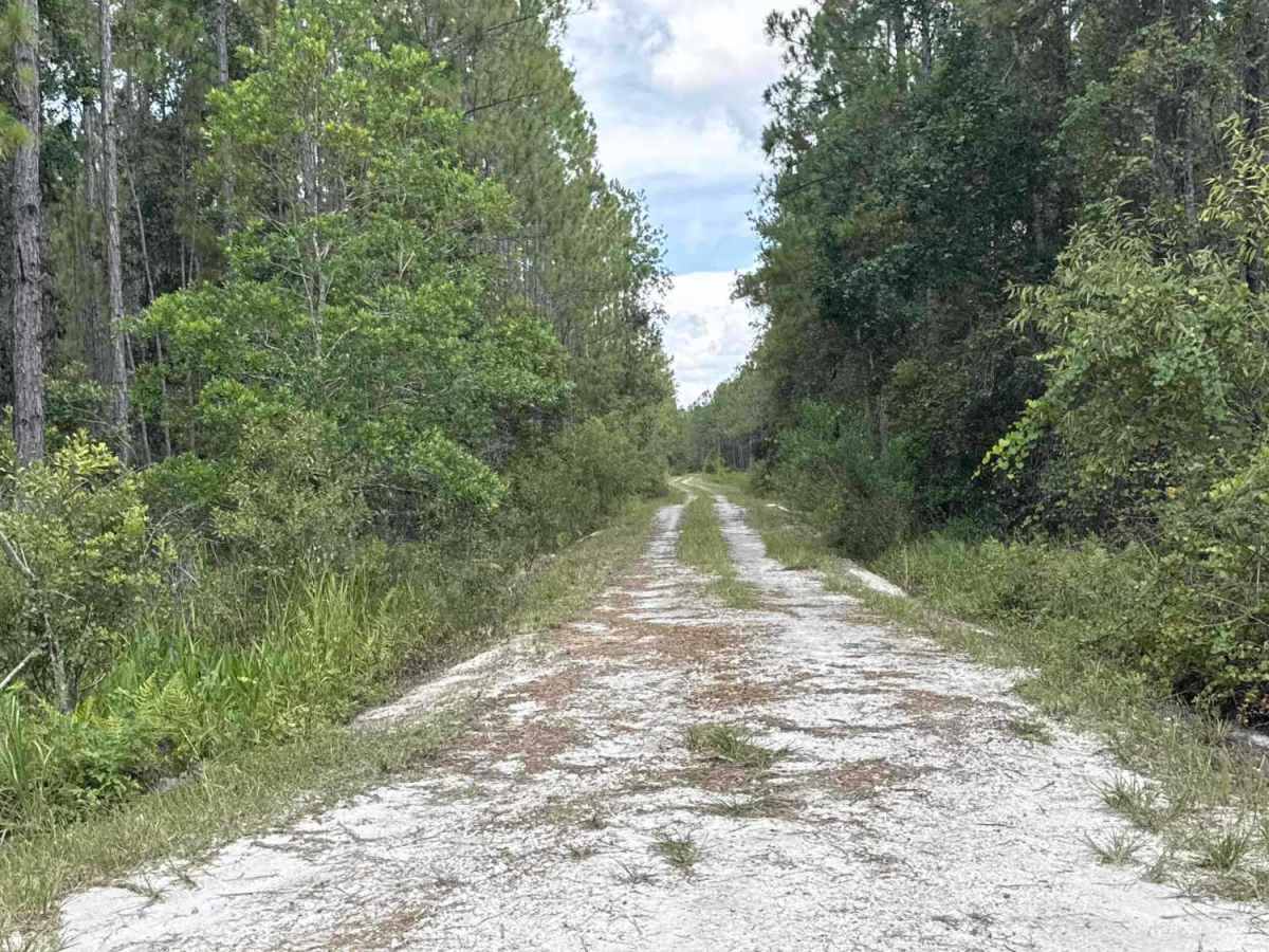 Bear Island Road photo 3