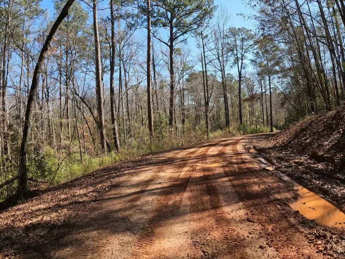 Bishop Road - FS 707 photo 4