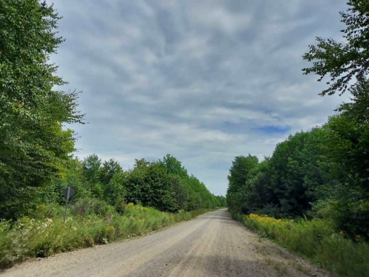 Duck Pond Road photo 4